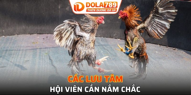 Các lưu tâm hội viên cần nắm chắc