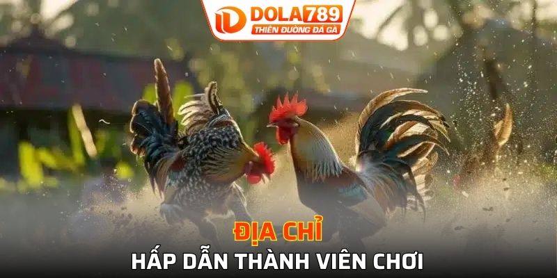 Địa chỉ hấp dẫn thành viên chơi