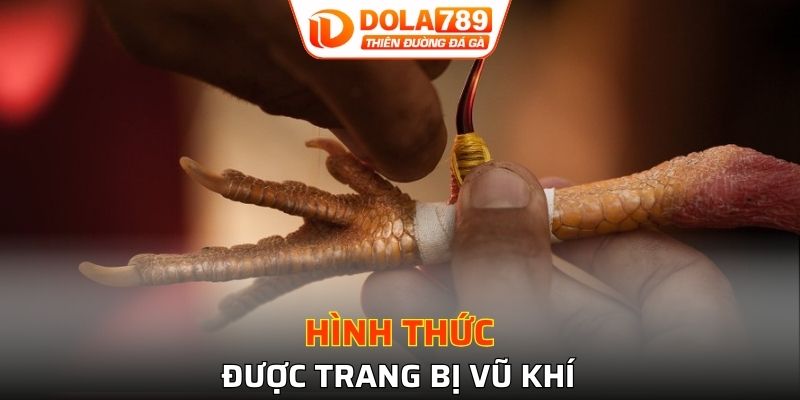 Hình thức được trang bị vũ khí