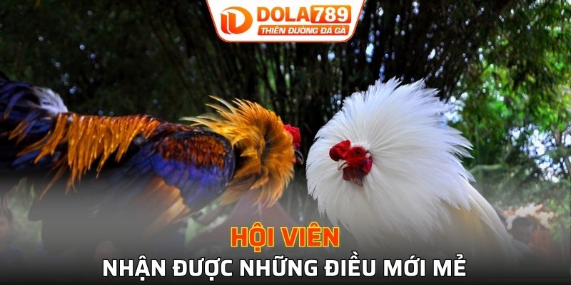 Hội viên nhận được những điều mới mẻ