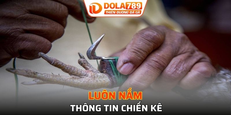 Luôn nắm thông tin chiến kê