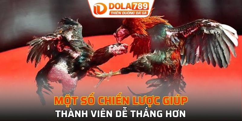Bí kíp để thành viên xuống vốn ở trực tiếp chọi kê thomo