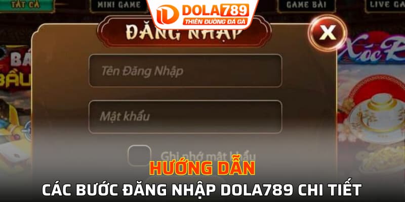 Các bước đăng nhập DOLA789 chi tiết hiện nay