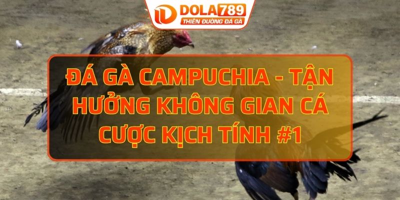 đá gà Campuchia