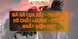 đá gà cựa sắt