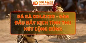 đá gà DOLA789
