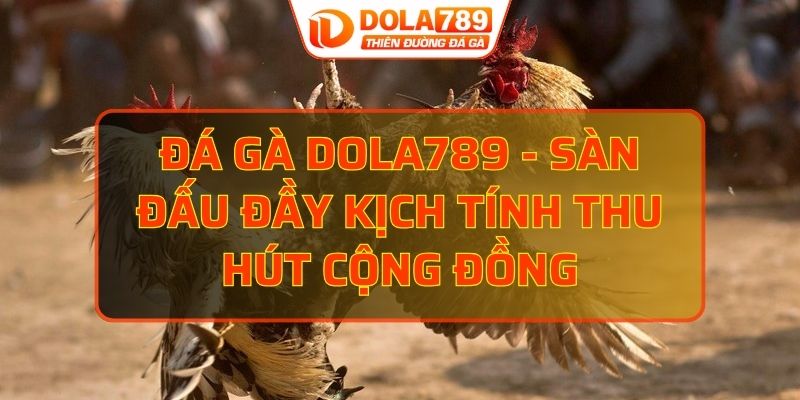 đá gà DOLA789