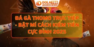đá gà Thomo trực tiếp