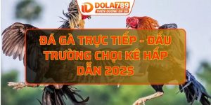 đá gà trực tiếp