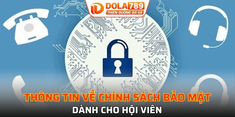 Giới thiệu sơ lược về chính sách bảo mật tại DOLA789