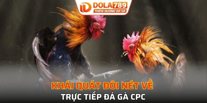Giới thiệu sơ lược về xem trực tiếp đá gà