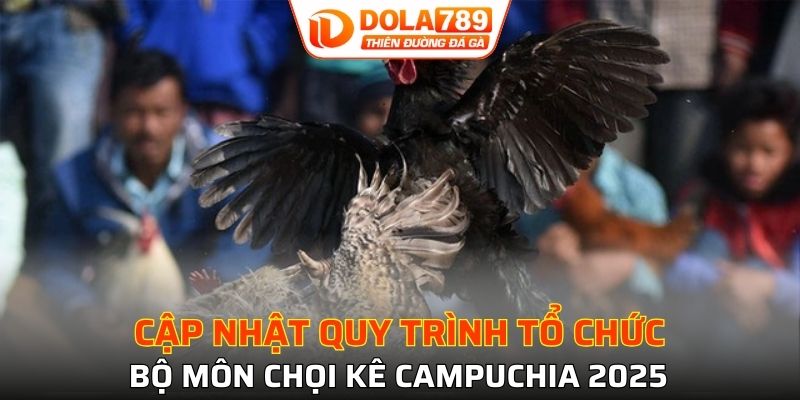 Khám phá luật chơi chọi kê Campuchia thú vị