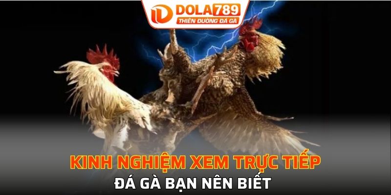 Một số mẹo giúp bạn nâng cao trải nghiệm xem trực tuyến 