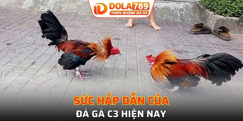 Theo dõi các trận đấu đỉnh cao hoàn toàn free