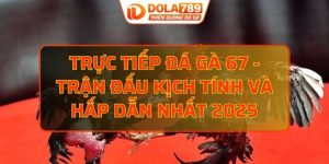 Trực tiếp đá gà 67