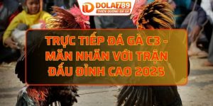 Trực tiếp đá gà C3