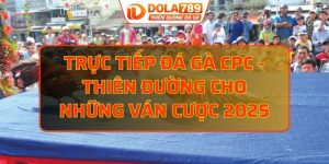 trực tiếp đá gà CPC