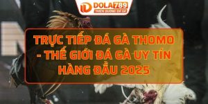 trực tiếp đá gà thomo