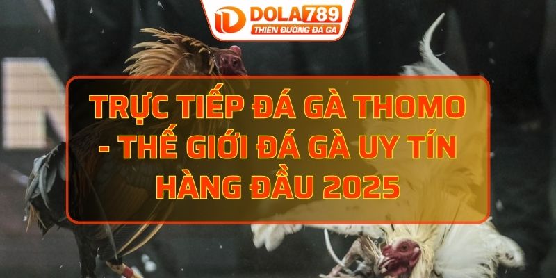 trực tiếp đá gà thomo